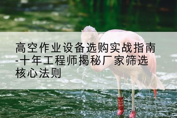 大安剪叉式升降机厂家-高空作业设备选购实战指南-十年工程师揭秘厂家筛选核心法则