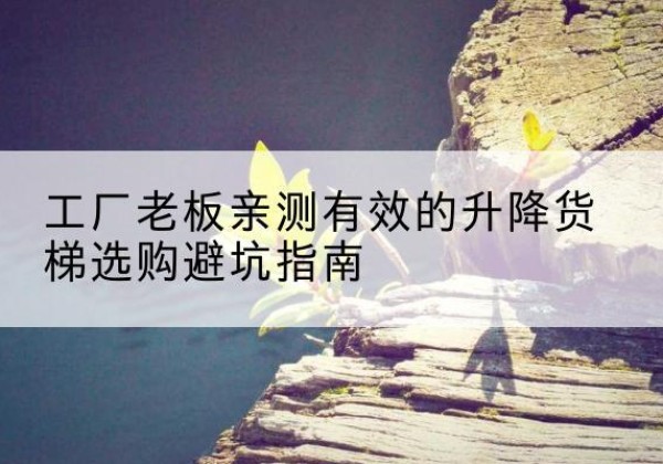 大安升降货梯怎么选-工厂老板亲测有效的升降货梯选购避坑指南